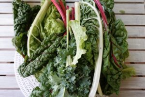 Lire la suite à propos de l’article Aquaponie Maison : Cultiver des Légumes-Feuilles avec Succès